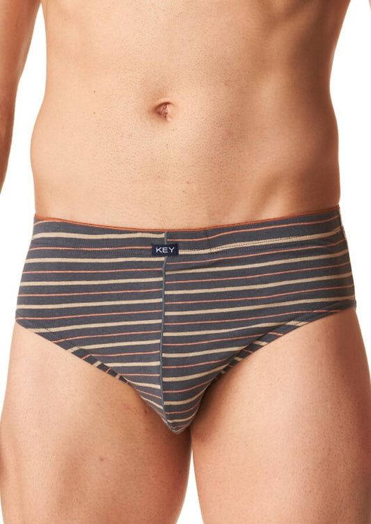 Slip da uomo realizzati in morbido cotone a righe, perfetti per garantire comfort e una vestibilità ottimale. Dotati di una pratica fascia elastica in vita, offrono una vestibilità aderente che segue il profilo del corpo. Confezione da due slip, ideali per chi cerca biancheria intima pratica e di qualità.